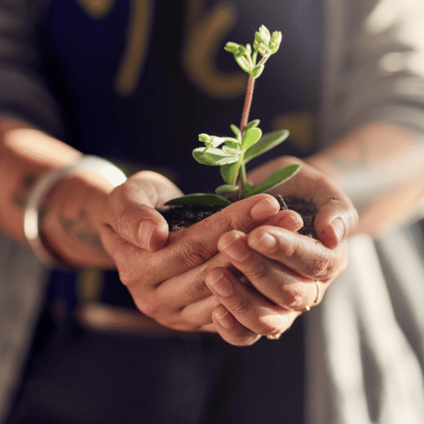Growth Mindset & Personal Transformation Coaching